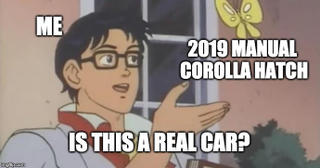 Illustration for article titled Oppo Quick Take: 2009 Toyota Yaris Manual / 2019 Toyota Corolla Hatch Manual